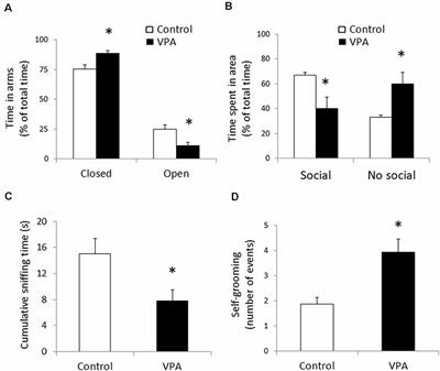 Region-Specific Reduction of BDNF Protein and Transcripts in the Hippocampus of Juvenile Rats Prenatally Treated With Sodium Valproate